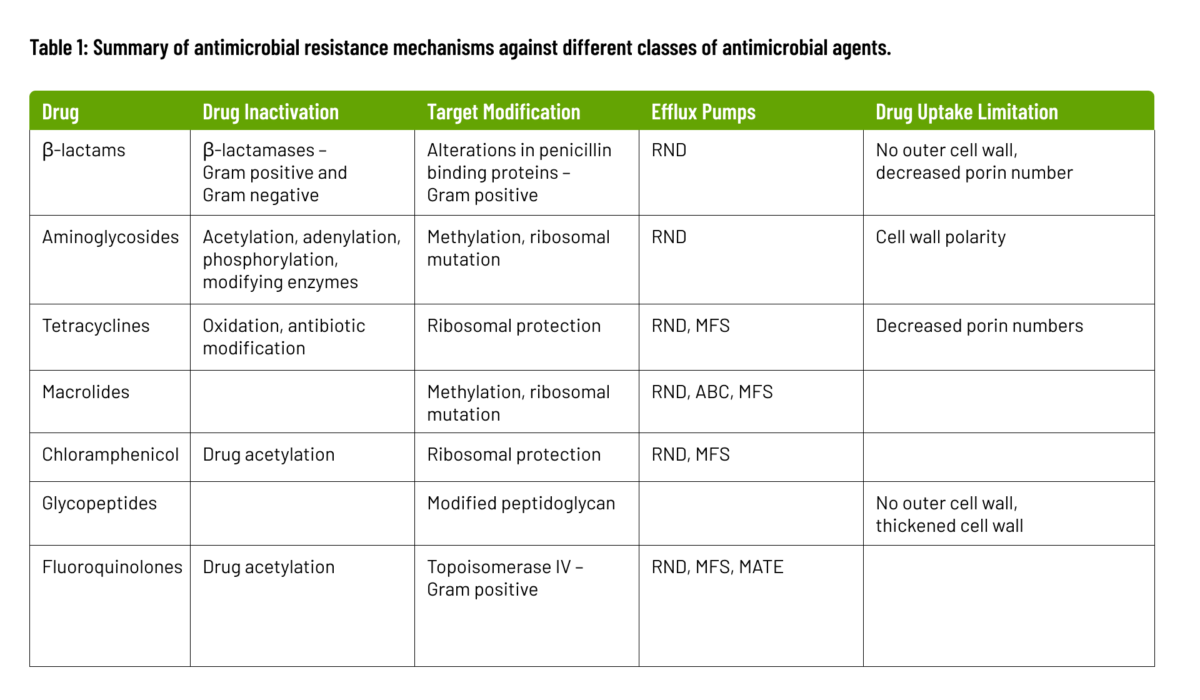 The visual representation of how does antimicrobial resistance occur