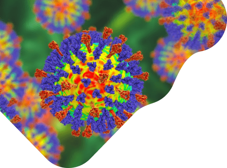 visual illustrator of a microbe